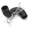 RENAU 6006001231 Radiator Hose